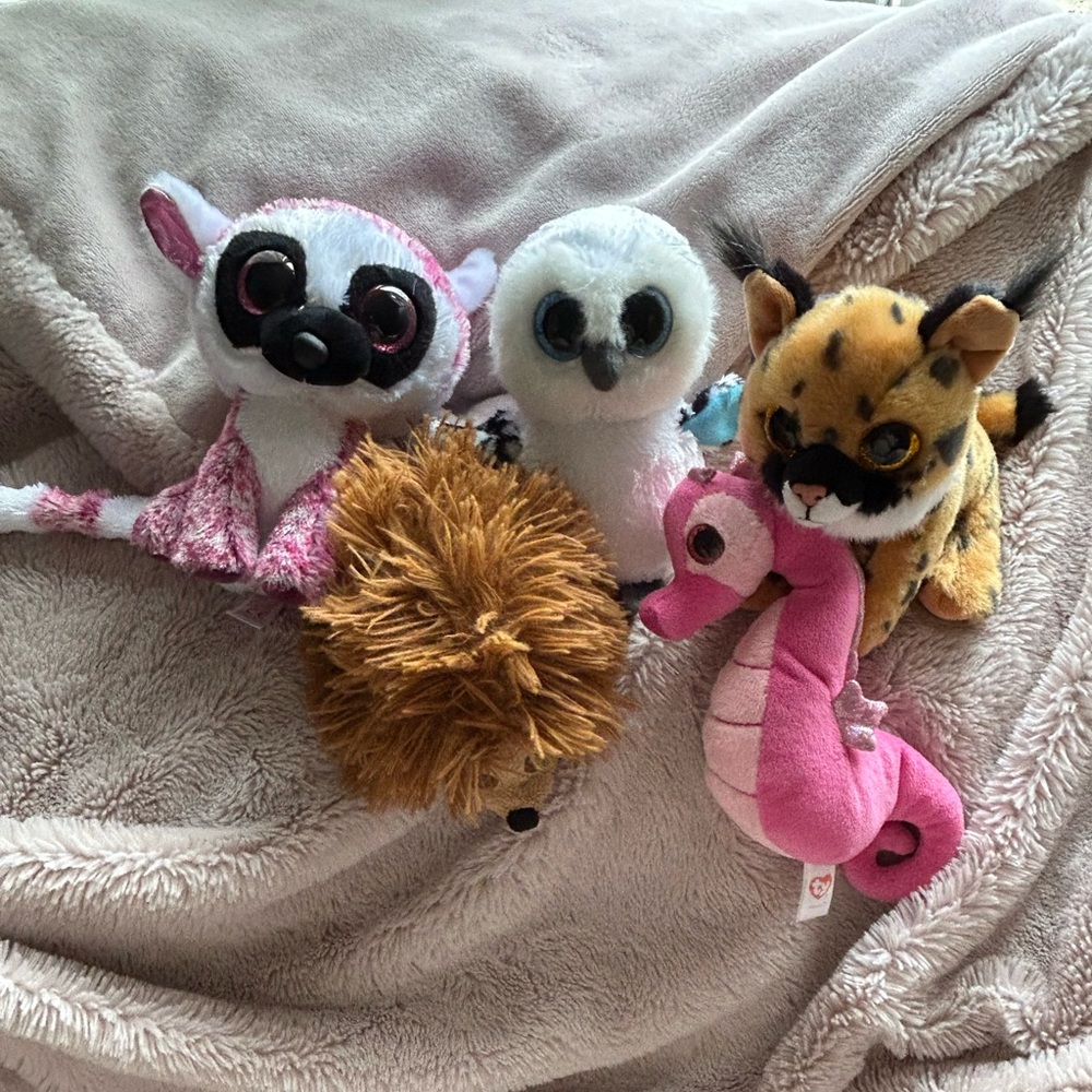 Beany boos assorted